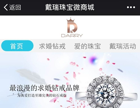戴瑞珠宝网站建设项目-互诺科技